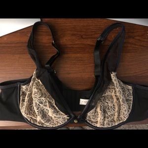 Lane Bryant Veiled Lace Triangle Plunge